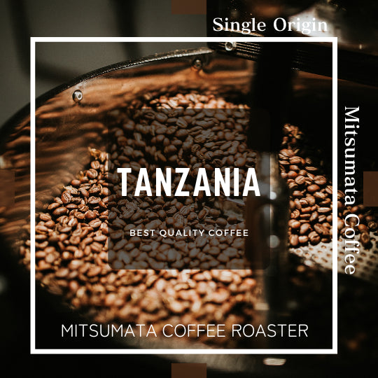 タンザニア/TANZANIA