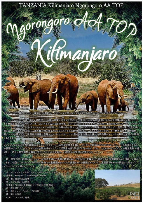 タンザニア/TANZANIA