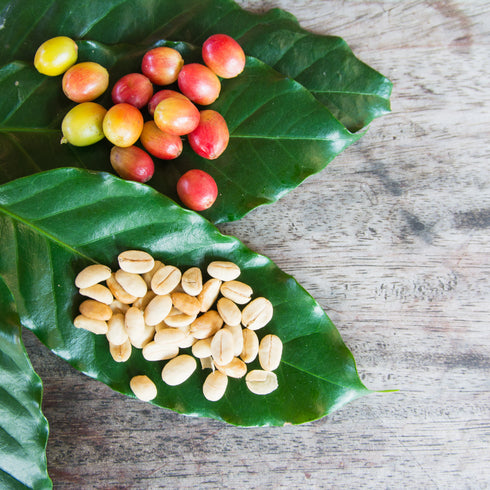 時代屋ブレンド/JIDAIYA BLEND