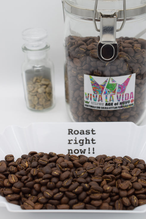 グアテマラ/GUATEMALA