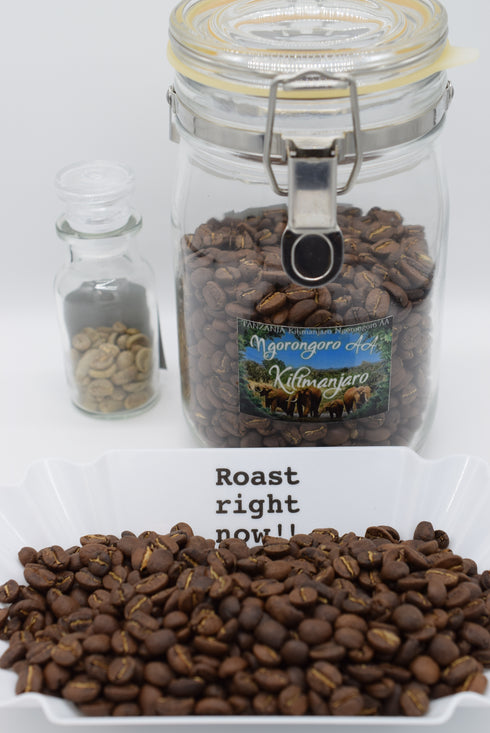 タンザニア/TANZANIA