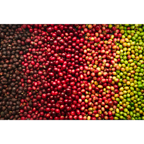 期間限定ブレンド/WINTER BLEND