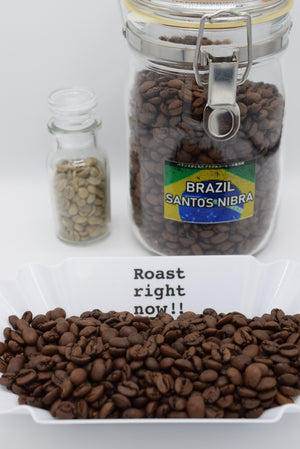 ブラジル/BRAZIL